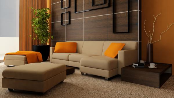 Custom Carpet Cleaning