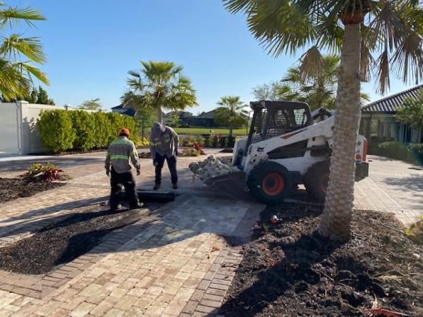 Estate Landscaping & Lawn Management