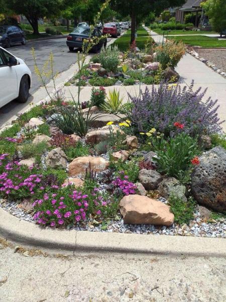 Bay Area Sustainable Landscaping