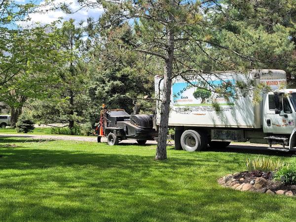 F & G Tree Service