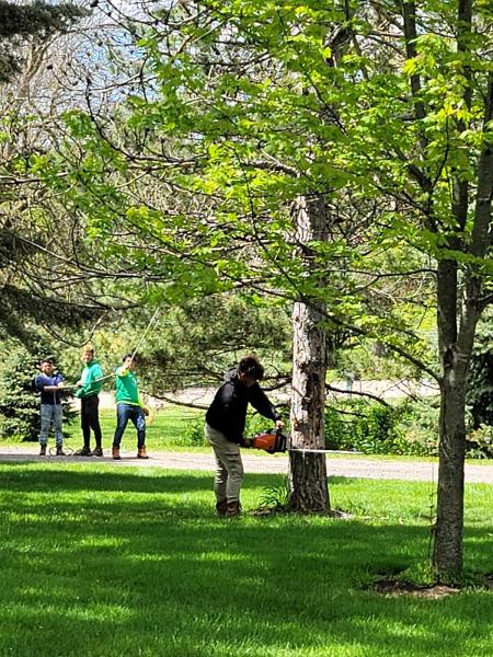 F & G Tree Service