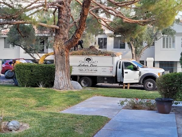 Arbor Tree Service