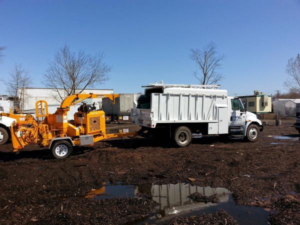 Rayzor's Edge Tree Service