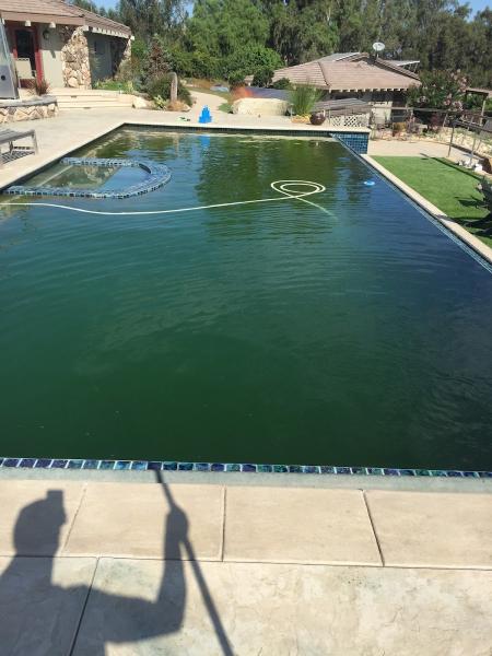 Signature Pool & Spa