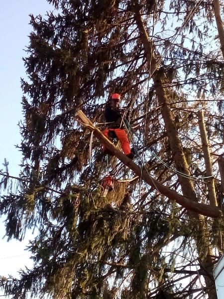 Squirrels Nest Tree Service LLC