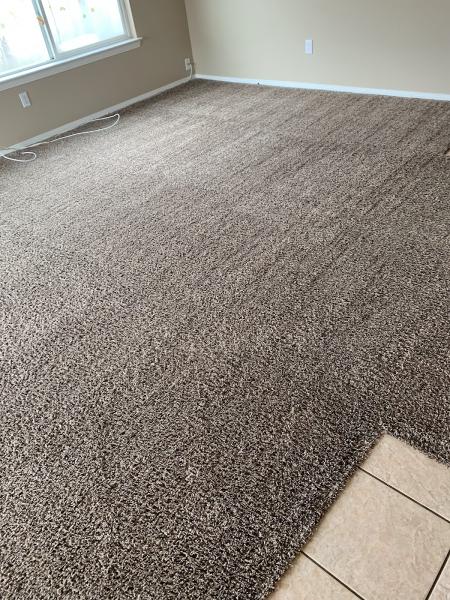 Max Carpet Cleaning