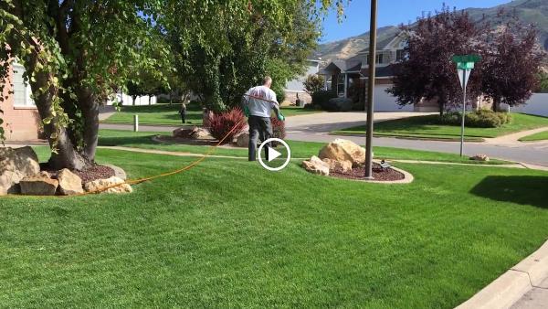 Big League Lawns