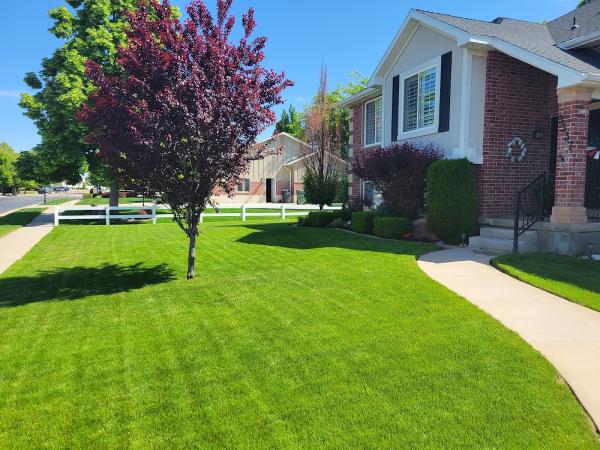 Big League Lawns