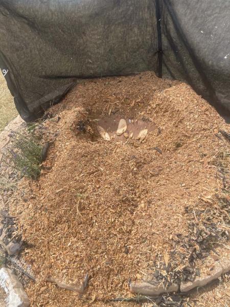OKC Stump Grinding