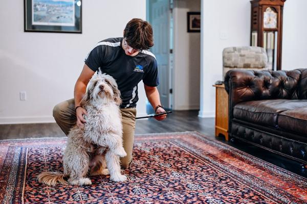 Spectrum Carpet Cleaning & Restoration