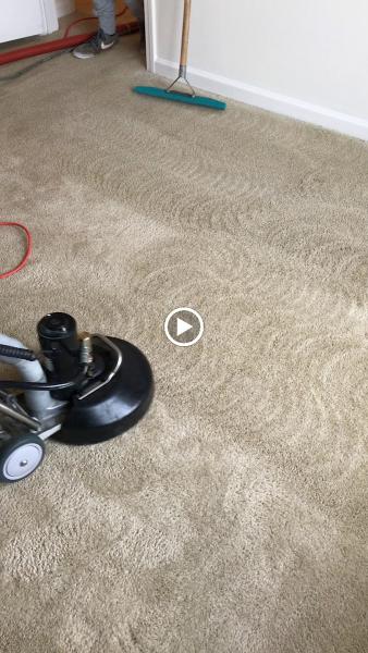 Partners In Grime Carpet Cleaning