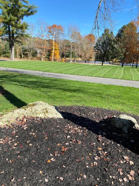 Bay View Turf Specialists