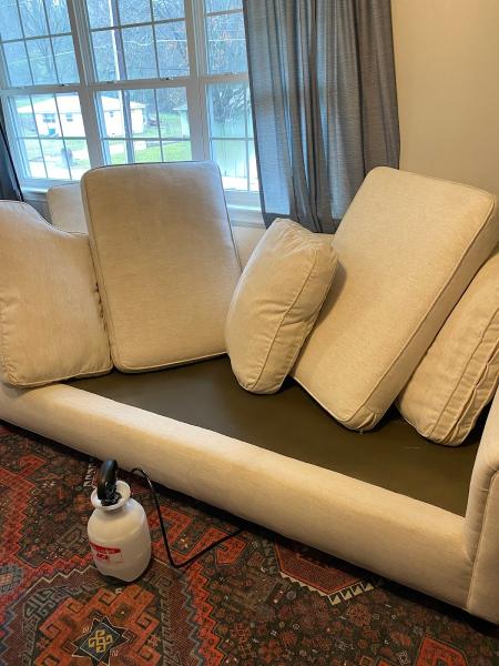 A Green Carpet Clean