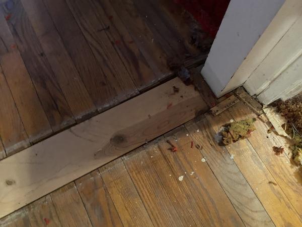 Faro Hardwood Floors