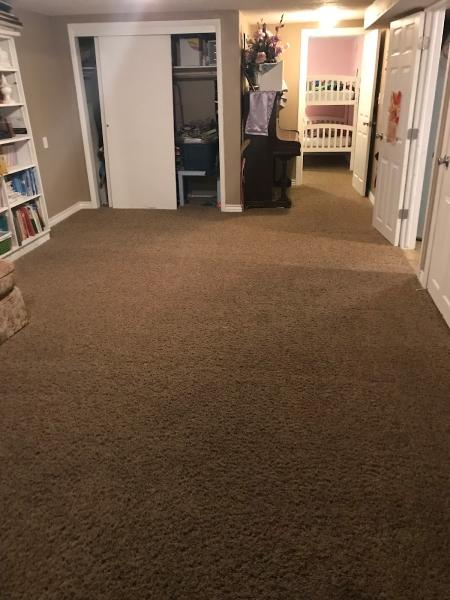 Master Carpet Cleaning