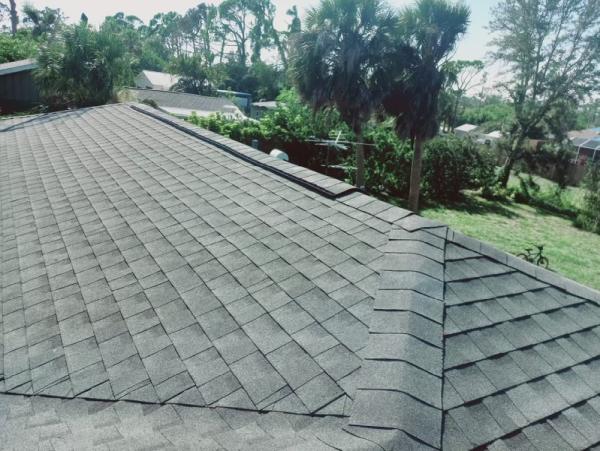 Wild Roofing