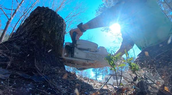 Bar & Blade Tree Service