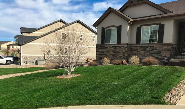Erbert Lawns