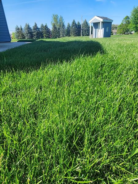 Paul Terry Services Lawn Care and Landscaping