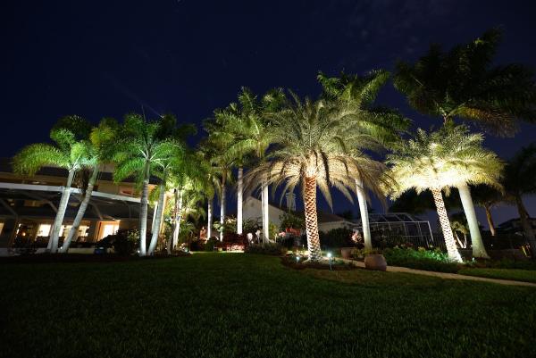 Landscape Pros Management