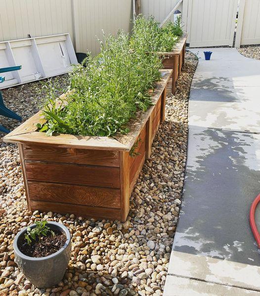Legacy Landscaping