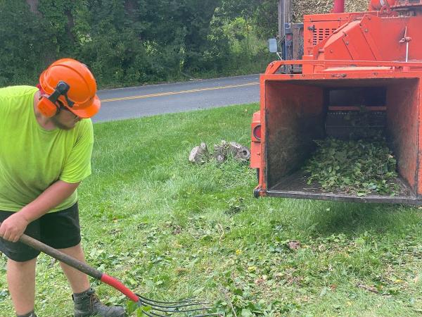 Byrnes Tree Service
