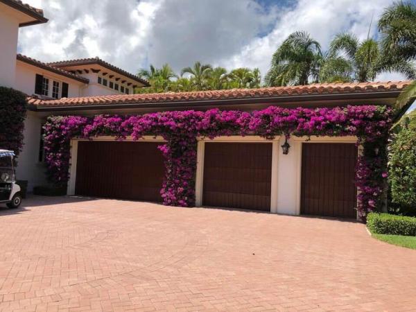 Pest Control Palm Beach