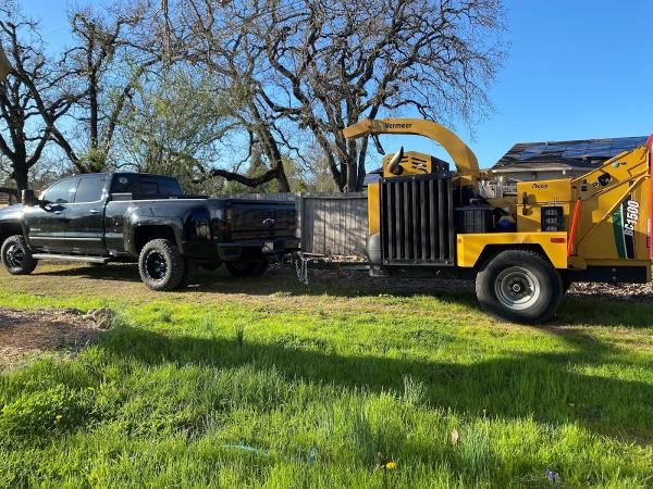 Horizon Professional Tree Management