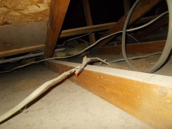 Sonic Property Inspections