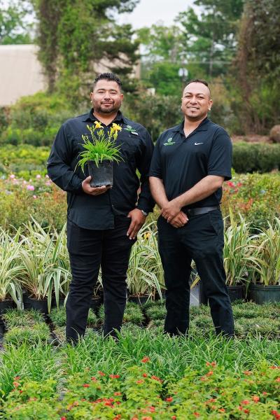 Lions Landscaping