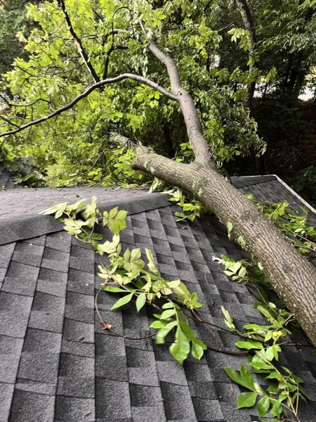 Platinum Elite Roofing