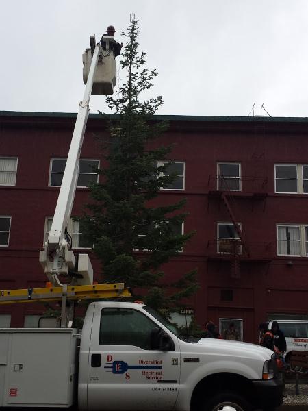 Diversified Electric