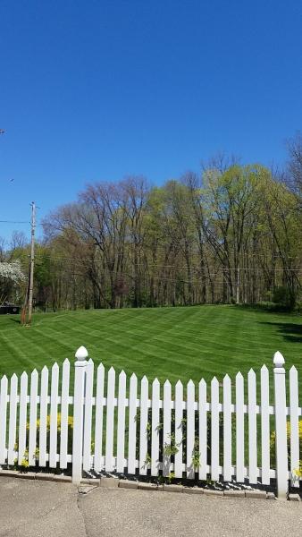 Rob's Lawn and Landscape