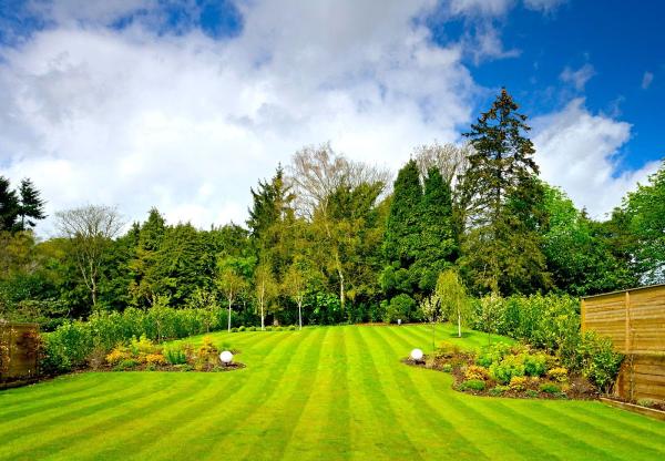 Premier Landscaping