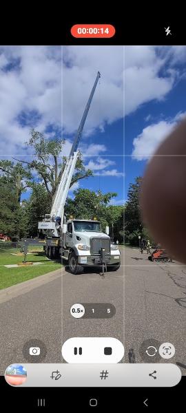 Dynasty Tree Experts