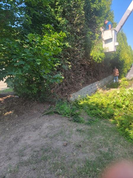 Valdez Tree Service LLC