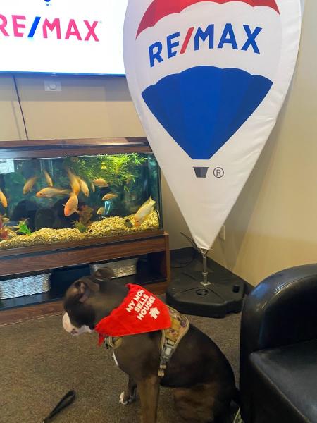 Re/Max Advantage: Knapp/Knight Team