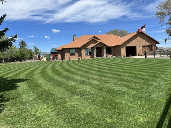 Awesome Grass Hydroseeding LLC