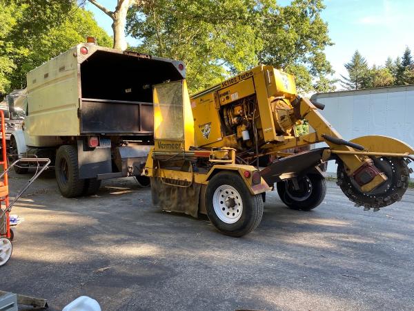 Andy's Tree Service LLC
