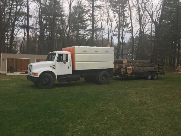 Andy's Tree Service LLC