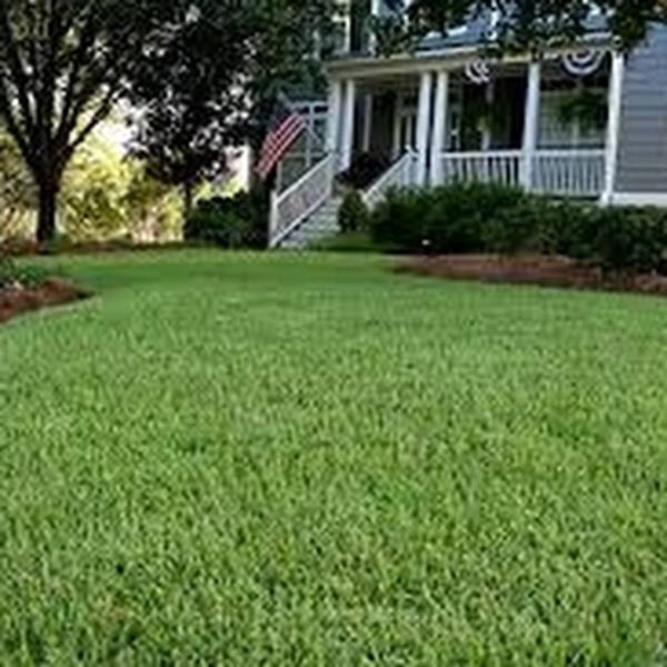 Jm Lawncare Service