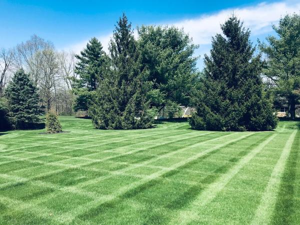 Signature Lawn Care