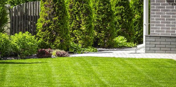 Enviro Lawn Services