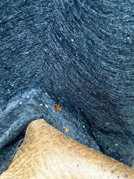 JDL Pest Control LLC