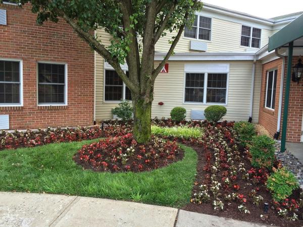 Classic Lawn Care