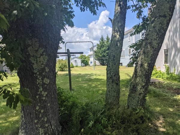 Fred's Tree & Design