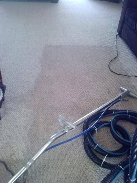 Gator Carpet and Tile Cleaning