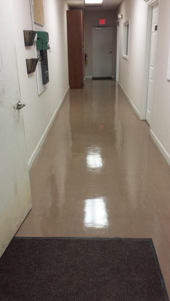 Gator Carpet and Tile Cleaning