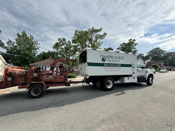 Spence's Tree Service