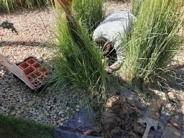 Quickpro Sprinkler Repair LLC